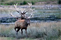 SteCroix 16-09-26 2025   Photos ACG 2016