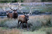 SteCroix 16-09-26 2028   Photos ACG 2016