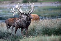 SteCroix 16-09-26 2038   Photos ACG 2016