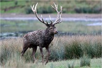 SteCroix 16-09-26 2042   Photos ACG 2016