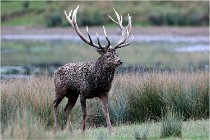 SteCroix 16-09-26 2043   Photos ACG 2016