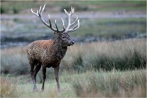 SteCroix 16-09-26 2046   Photos ACG 2016