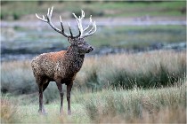 SteCroix 16-09-26 2047   Photos ACG 2016