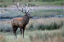 SteCroix 16-09-26 2048   Photos ACG 2016