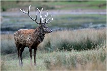 SteCroix 16-09-26 2057   Photos ACG 2016