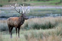 SteCroix 16-09-26 2058   Photos ACG 2016