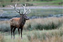 SteCroix 16-09-26 2059   Photos ACG 2016