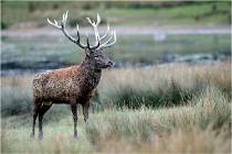 SteCroix 16-09-26 2074   Photos ACG 2016