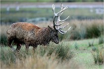 SteCroix 16-09-26 2080   Photos ACG 2016