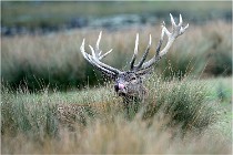 SteCroix 16-09-26 2083   Photos ACG 2016