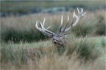 SteCroix 16-09-26 2084   Photos ACG 2016