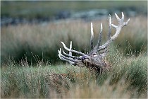 SteCroix 16-09-26 2087   Photos ACG 2016