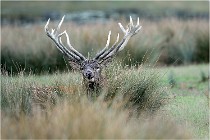 SteCroix 16-09-26 2088   Photos ACG 2016