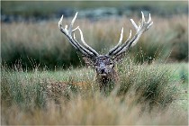 SteCroix 16-09-26 2090   Photos ACG 2016