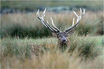 SteCroix 16-09-26 2091   Photos ACG 2016