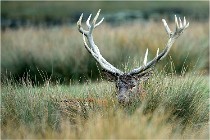 SteCroix 16-09-26 2095   Photos ACG 2016