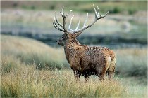 SteCroix 16-09-26 2098   Photos ACG 2016