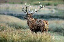 SteCroix 16-09-26 2099   Photos ACG 2016