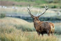 SteCroix 16-09-26 2100   Photos ACG 2016