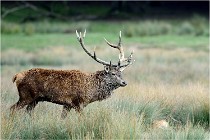 SteCroix 16-09-26 2116   Photos ACG 2016