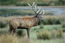 SteCroix 16-09-26 2120   Photos ACG 2016