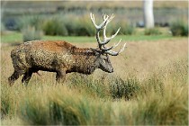 SteCroix 16-09-26 2131   Photos ACG 2016