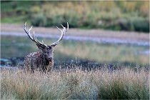 SteCroix 16-09-26 2142   Photos ACG 2016