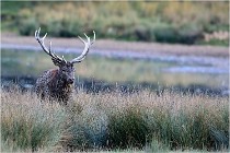 SteCroix 16-09-26 2143   Photos ACG 2016