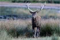 SteCroix 16-09-26 2144   Photos ACG 2016