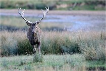 SteCroix 16-09-26 2147   Photos ACG 2016