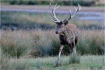 SteCroix 16-09-26 2148   Photos ACG 2016