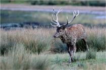 SteCroix 16-09-26 2149   Photos ACG 2016