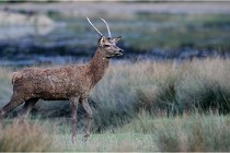 SteCroix 16-09-26 2159   Photos ACG 2016