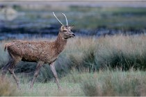 SteCroix 16-09-26 2160   Photos ACG 2016