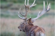 SteCroix 16-09-26 2170   Photos ACG 2016