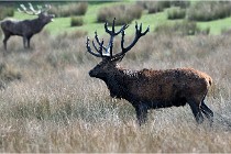 SteCroix 16-09-27 0661   Photos ACG 2016