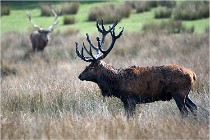 SteCroix 16-09-27 0676   Photos ACG 2016