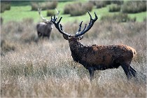 SteCroix 16-09-27 0677   Photos ACG 2016