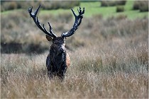 SteCroix 16-09-27 0681   Photos ACG 2016