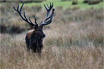 SteCroix 16-09-27 0685   Photos ACG 2016