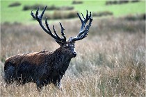 SteCroix 16-09-27 0692   Photos ACG 2016