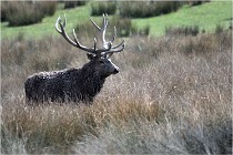 SteCroix 16-09-27 0695   Photos ACG 2016