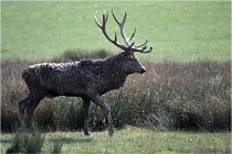 SteCroix 16-09-27 0697   Photos ACG 2016