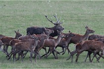 SteCroix 16-09-27 0735   Photos ACG 2016