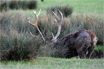 SteCroix 16-09-27 0789   Photos ACG 2016