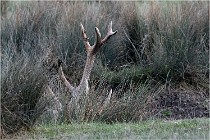 SteCroix 16-09-27 0790   Photos ACG 2016