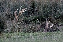 SteCroix 16-09-27 0792   Photos ACG 2016