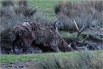 SteCroix 16-09-27 0794   Photos ACG 2016