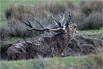 SteCroix 16-09-27 0808   Photos ACG 2016