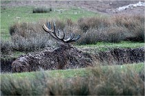 SteCroix 16-09-27 0814   Photos ACG 2016